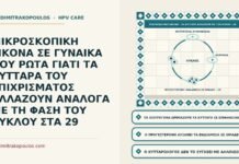 ορμονικές αλλαγές των κυττάρων στον κύκλο