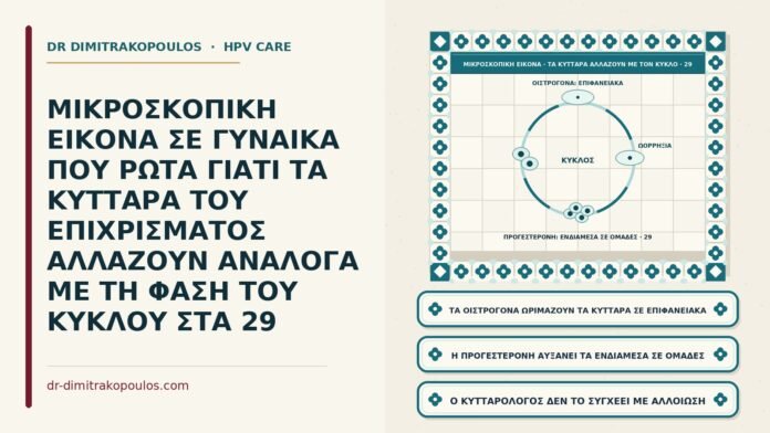 ορμονικές αλλαγές των κυττάρων στον κύκλο