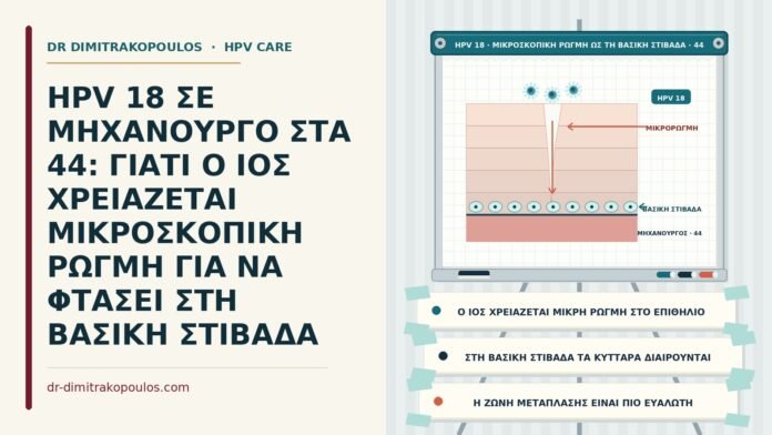 HPV 18 ΣΕ ΜΗΧΑΝΟΥΡΓΟ ΣΤΑ 44: ΓΙΑΤΙ Ο ΙΟΣ ΧΡΕΙΑΖΕΤΑΙ ΜΙΚΡΟΣΚΟΠΙΚΗ ΡΩΓΜΗ ΓΙΑ ΝΑ ΦΤΑΣΕΙ ΣΤΗ ΒΑΣΙΚΗ ΣΤΙΒΑΔΑ είσοδος του HPV 18 από μικροτραυματισμό