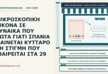 κύτταρα που διαιρούνται στο επίχρισμα