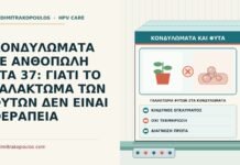 γαλάκτωμα φυτών στα κονδυλώματα