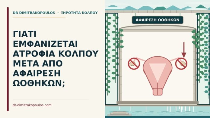 ΓΙΑΤΙ ΕΜΦΑΝΙΖΕΤΑΙ ΑΤΡΟΦΙΑ ΚΟΛΠΟΥ ΜΕΤΑ ΑΠΟ ΑΦΑΙΡΕΣΗ ΩΟΘΗΚΩΝ; ατροφία κόλπου