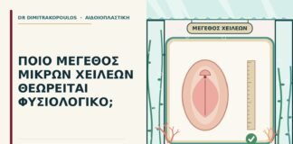 μέγεθος των μικρών χειλέων