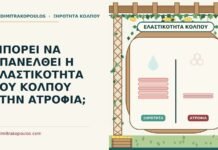ελαστικότητα του κόλπου