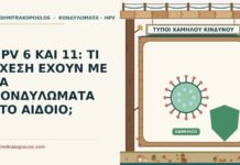 HPV 6 ΚΑΙ 11: ΤΙ ΣΧΕΣΗ ΕΧΟΥΝ ΜΕ ΤΑ ΚΟΝΔΥΛΩΜΑΤΑ ΣΤΟ ΑΙΔΟΙΟ; HPV 6 και 11
