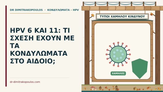 HPV 6 ΚΑΙ 11: ΤΙ ΣΧΕΣΗ ΕΧΟΥΝ ΜΕ ΤΑ ΚΟΝΔΥΛΩΜΑΤΑ ΣΤΟ ΑΙΔΟΙΟ; HPV 6 και 11