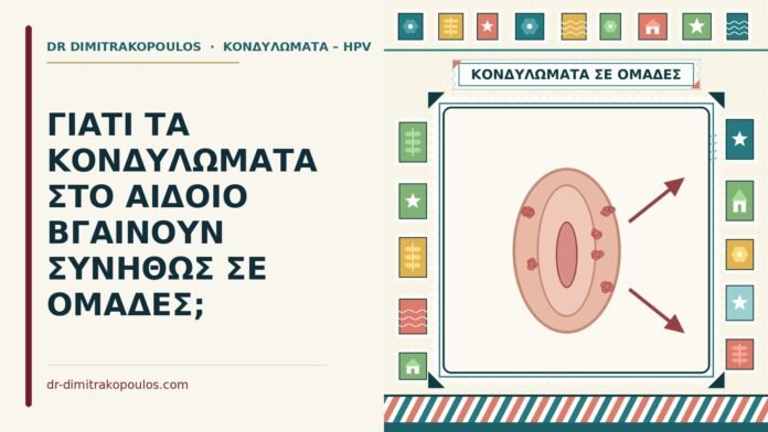 ΓΙΑΤΙ ΤΑ ΚΟΝΔΥΛΩΜΑΤΑ ΣΤΟ ΑΙΔΟΙΟ ΒΓΑΙΝΟΥΝ ΣΥΝΗΘΩΣ ΣΕ ΟΜΑΔΕΣ; κονδυλώματα σε ομάδες