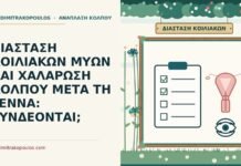 ΔΙΑΣΤΑΣΗ ΚΟΙΛΙΑΚΩΝ ΜΥΩΝ ΚΑΙ ΧΑΛΑΡΩΣΗ ΚΟΛΠΟΥ ΜΕΤΑ ΤΗ ΓΕΝΝΑ: ΣΥΝΔΕΟΝΤΑΙ; διάσταση κοιλιακών μυών