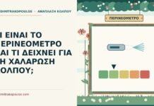 περινεόμετρο
