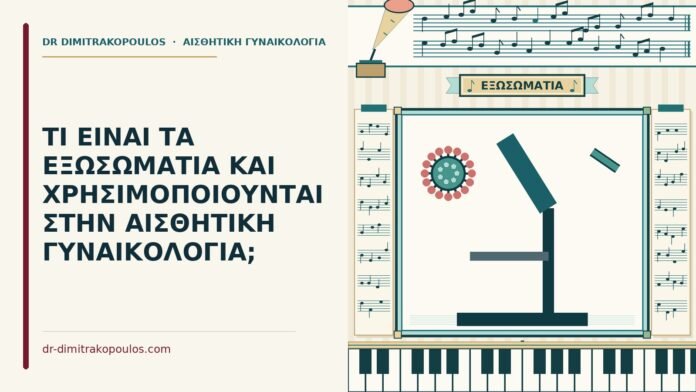ΤΙ ΕΙΝΑΙ ΤΑ ΕΞΩΣΩΜΑΤΙΑ ΚΑΙ ΧΡΗΣΙΜΟΠΟΙΟΥΝΤΑΙ ΣΤΗΝ ΑΙΣΘΗΤΙΚΗ ΓΥΝΑΙΚΟΛΟΓΙΑ; εξωσωμάτια