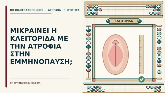 ΜΙΚΡΑΙΝΕΙ Η ΚΛΕΙΤΟΡΙΔΑ ΜΕ ΤΗΝ ΑΤΡΟΦΙΑ ΣΤΗΝ ΕΜΜΗΝΟΠΑΥΣΗ; κλειτορίδα