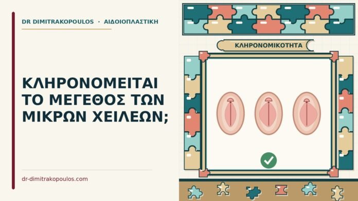 μέγεθος των μικρών χειλέων