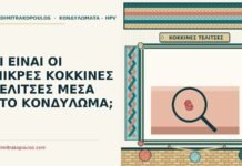 ΤΙ ΕΙΝΑΙ ΟΙ ΜΙΚΡΕΣ ΚΟΚΚΙΝΕΣ ΤΕΛΙΤΣΕΣ ΜΕΣΑ ΣΤΟ ΚΟΝΔΥΛΩΜΑ; κόκκινες τελίτσες μέσα στο κονδύλωμα