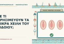 ρόλος των μικρών χειλέων