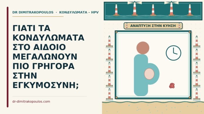 ΓΙΑΤΙ ΤΑ ΚΟΝΔΥΛΩΜΑΤΑ ΣΤΟ ΑΙΔΟΙΟ ΜΕΓΑΛΩΝΟΥΝ ΠΙΟ ΓΡΗΓΟΡΑ ΣΤΗΝ ΕΓΚΥΜΟΣΥΝΗ; μεγαλώνουν πιο γρήγορα