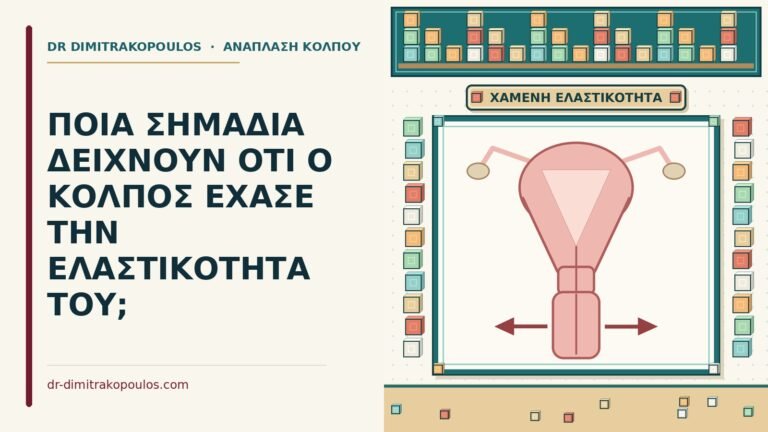 ελαστικότητα του κόλπου