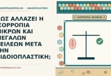 ΠΩΣ ΑΛΛΑΖΕΙ Η ΙΣΟΡΡΟΠΙΑ ΜΙΚΡΩΝ ΚΑΙ ΜΕΓΑΛΩΝ ΧΕΙΛΕΩΝ ΜΕΤΑ ΤΗΝ ΑΙΔΟΙΟΠΛΑΣΤΙΚΗ; ισορροπία μικρών και μεγάλων χειλέων