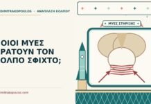 οι μύες του πυελικού εδάφους