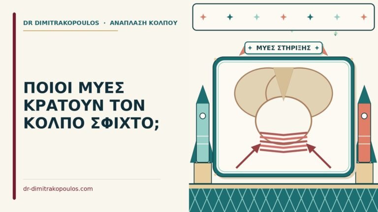 οι μύες του πυελικού εδάφους