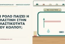 ελαστίνη στην ελαστικότητα του κόλπου