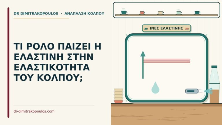 ελαστίνη στην ελαστικότητα του κόλπου