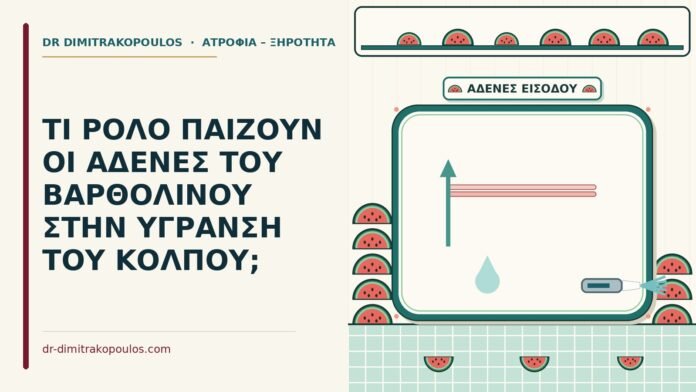 ΤΙ ΡΟΛΟ ΠΑΙΖΟΥΝ ΟΙ ΑΔΕΝΕΣ ΤΟΥ ΒΑΡΘΟΛΙΝΟΥ ΣΤΗΝ ΥΓΡΑΝΣΗ ΤΟΥ ΚΟΛΠΟΥ; αδένες του Βαρθολίνου