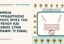 ΣΗΜΕΙΑ ΠΥΡΟΔΟΤΗΣΗΣ ΣΤΟΥΣ ΜΥΕΣ ΤΗΣ ΠΥΕΛΟΥ ΚΑΙ ΠΟΝΟΣ ΣΤΗΝ ΕΠΑΦΗ: ΤΙ ΕΙΝΑΙ; σημεία πυροδότησης