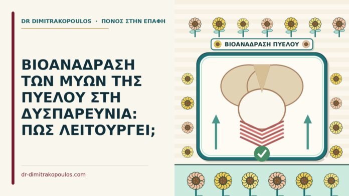 ΒΙΟΑΝΑΔΡΑΣΗ ΤΩΝ ΜΥΩΝ ΤΗΣ ΠΥΕΛΟΥ ΣΤΗ ΔΥΣΠΑΡΕΥΝΙΑ: ΠΩΣ ΛΕΙΤΟΥΡΓΕΙ; βιοανάδραση των μυών της πυέλου