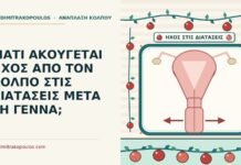 ΓΙΑΤΙ ΑΚΟΥΓΕΤΑΙ ΗΧΟΣ ΑΠΟ ΤΟΝ ΚΟΛΠΟ ΣΤΙΣ ΔΙΑΤΑΣΕΙΣ ΜΕΤΑ ΤΗ ΓΕΝΝΑ; ήχος από τον κόλπο