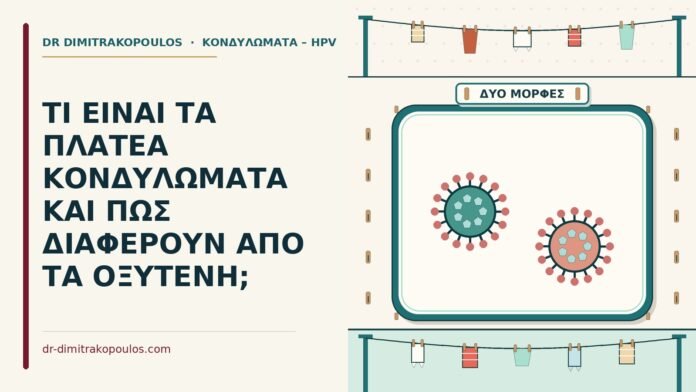 ΤΙ ΕΙΝΑΙ ΤΑ ΠΛΑΤΕΑ ΚΟΝΔΥΛΩΜΑΤΑ ΚΑΙ ΠΩΣ ΔΙΑΦΕΡΟΥΝ ΑΠΟ ΤΑ ΟΞΥΤΕΝΗ; πλατέα κονδυλώματα