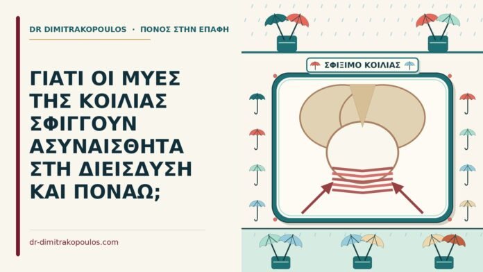 ΓΙΑΤΙ ΟΙ ΜΥΕΣ ΤΗΣ ΚΟΙΛΙΑΣ ΣΦΙΓΓΟΥΝ ΑΣΥΝΑΙΣΘΗΤΑ ΣΤΗ ΔΙΕΙΣΔΥΣΗ ΚΑΙ ΠΟΝΑΩ; μύες της κοιλιάς σφίγγουν