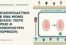 ΧΕΙΛΕΟΠΛΑΣΤΙΚΗ ΣΕ ΕΝΑ ΜΟΝΟ ΧΕΙΛΟΣ: ΠΟΤΕ ΑΡΚΕΙ Η ΜΟΝΟΠΛΕΥΡΗ ΔΙΟΡΘΩΣΗ; ένα μόνο χείλος