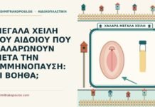 μεγάλα χείλη του αιδοίου που χαλαρώνουν