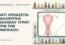 ΓΙΑΤΙ ΧΡΕΙΑΖΕΤΑΙ ΚΑΛΛΙΕΡΓΕΙΑ ΚΟΛΠΙΚΟΥ ΥΓΡΟΥ ΠΡΙΝ ΤΗΝ ΑΝΑΠΛΑΣΗ; καλλιέργεια κολπικού υγρού