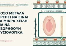 μικρά χείλη
