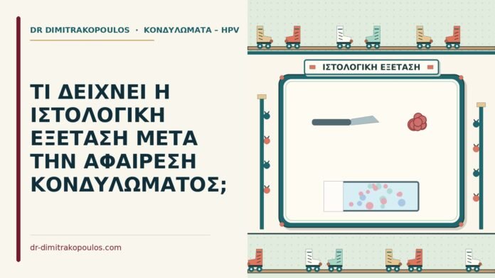 ΤΙ ΔΕΙΧΝΕΙ Η ΙΣΤΟΛΟΓΙΚΗ ΕΞΕΤΑΣΗ ΜΕΤΑ ΤΗΝ ΑΦΑΙΡΕΣΗ ΚΟΝΔΥΛΩΜΑΤΟΣ; ιστολογική εξέταση κονδυλώματος