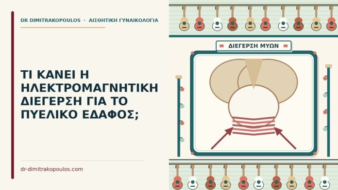 ΤΙ ΚΑΝΕΙ Η ΗΛΕΚΤΡΟΜΑΓΝΗΤΙΚΗ ΔΙΕΓΕΡΣΗ ΓΙΑ ΤΟ ΠΥΕΛΙΚΟ ΕΔΑΦΟΣ; ηλεκτρομαγνητική διέγερση