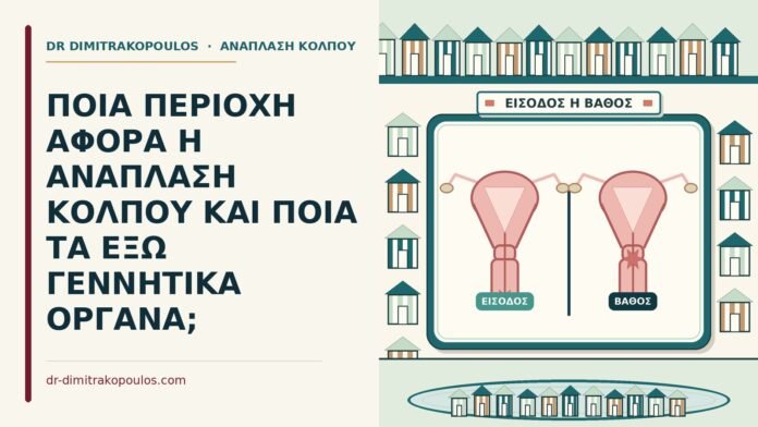 ΠΟΙΑ ΠΕΡΙΟΧΗ ΑΦΟΡΑ Η ΑΝΑΠΛΑΣΗ ΚΟΛΠΟΥ ΚΑΙ ΠΟΙΑ ΤΑ ΕΞΩ ΓΕΝΝΗΤΙΚΑ ΟΡΓΑΝΑ; περιοχή που αφορά η ανάπλαση κόλπου