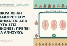 μικρά χείλη